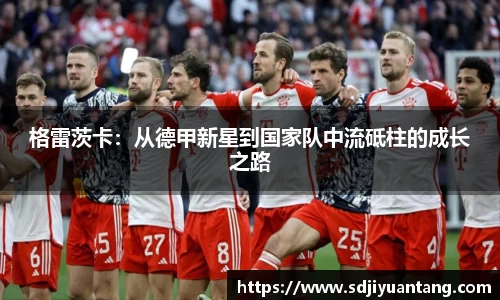 格雷茨卡：从德甲新星到国家队中流砥柱的成长之路