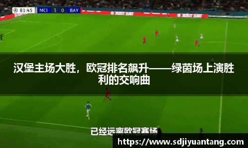 汉堡主场大胜，欧冠排名飙升——绿茵场上演胜利的交响曲