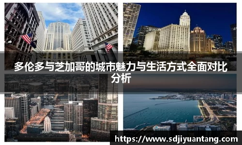 彩神VI首页官网