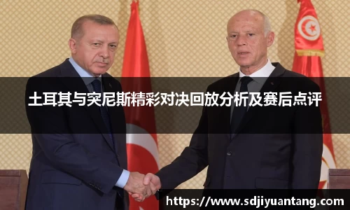 土耳其与突尼斯精彩对决回放分析及赛后点评